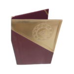 Carpeta en BIO